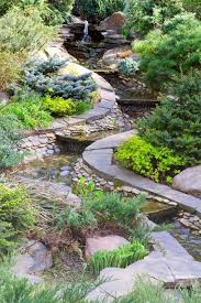 Winzige Alpine Pflanzen Fur Steingarten Tipps Zur Auswahl Und Pflege Steingarten Steingarten Pflanzen Garten