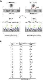 Image result for Neutralization Test