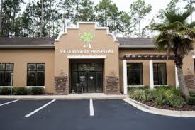 Thanks for making his experience going to the vet a good one. Veterinarian St Johns Fl Pets R Family Veterinary Hospital