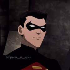 Tim Drake Robin (Young Justice) 🪶🌹, nobody cares about TiM dRaKe 😒😒 (I  care)