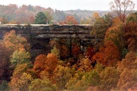 Check spelling or type a new query. The Natural Bridge State Resort Park Is Located In Slade Ky It Is Adjacent To The Red River Gorge Natural Bridge Kentucky Natural Bridge Gorges State Park
