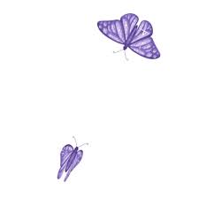 Maybe you would like to learn more about one of these? Butterfly Gifs Get The Best Gif On Giphy