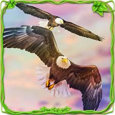 Foto hd elang vs harimau / hcmbqdas7vcgvm. Eagle Racing Simulator Animal Race Game Apl Di Google Play