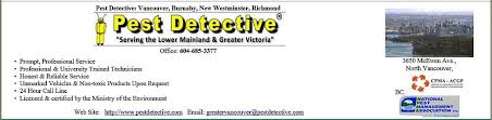 If you own a business and provide products or services in and around the chilliwack area, or you have a chilliwack business address, then it would benefit you to. Chilliwack Pest Control Canada