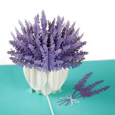 Video anleitung zum thema „pop up karte basteln. Pop Up Karte Blumen Lavendelstrauss Papercrush