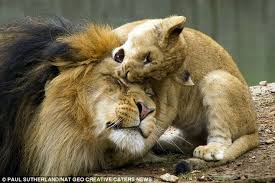 Bite Off More Than You Can Chew Gif Pin On Animals