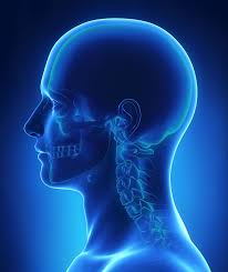 An acute wry neck is also known as a torticollis. Wry Neck Stuck Neck Joint Stuck Neck Joint Well Health Pro