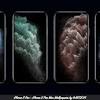 If you have an iphone 11 or iphone 11 pro there s one default. Https Encrypted Tbn0 Gstatic Com Images Q Tbn And9gcsnlkujydyjj5l9wvkevzvieygdlmxcprlchefdu Qvpr I2xsd Usqp Cau