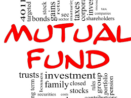 Small-Cap Schemes Dominate Pure-Play Equity Mutual Fund Returns | News On  Markets - Business Standard