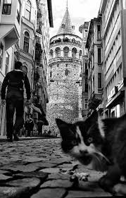 Black And White Turkey Galata Tower In Istanbul Turkey Via Vintage Arts Design Photo Fashion Istanbul Photo Black And White Photography