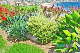 Maybe you would like to learn more about one of these? How To Create A Flower Bed That Wows The Eye Season After Season