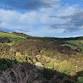 Hāpua Farm Walk event image