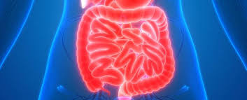 5 ways to increase brown fat. How The Gut Talks To Brown Fat Tum