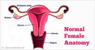 This may be apparent at birth or become so later in life e.g. Xy Females Women Or Men Intersex True Picture
