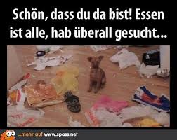 Essen Ist Alle Lustige Bilder Auf Spass Net Babywitze Tiere Lustige Bilder Lustige Tiere