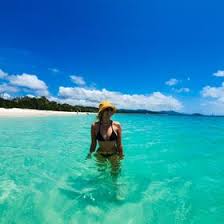 Sarah Dewing (sarahdewing)