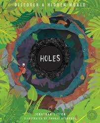 Substantive, well told, well executed. Holes By Thomas Hegbrook Jonathan Litton Waterstones