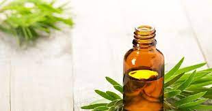 Tea Tree Oil Can Do Wonders For Your Skin And Hair