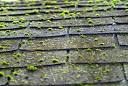 Is moss on roof bad