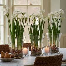 Paperwhite Ariel Kit In Glass Vase Spring Decor Bulb Flowers Fresh Flowers Arrangements