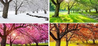 Las altas temperaturas podrían dar un descanso a los chilenos y chilenas, al menos hasta el martes de la próxima semana. Clima De Canada Descubre Como Es En Sus Principales Ciudades 2021
