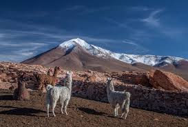 Champasak and the bolivian plateau. 10 Natural Wonders Of Bolivian Altiplano In A Faraway Land