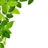 Choose from all borders or one at a time. Https Encrypted Tbn0 Gstatic Com Images Q Tbn And9gcrki Xf T Nodd7lc2wdtd6omxlktvzjii1hgjrbq0 Usqp Cau