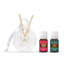 Add a few clusters of red berries to keep the decorations simple. Christmas Tree Ornament Bundle Young Living Essential Oils