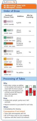 processing of tubes phlebotomy medical laboratory