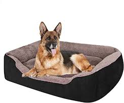Maybe you would like to learn more about one of these? Amazon Com Pet Dog Bed For Medium Dogs Xxl Large For Large Dogs Dog Bed With Machine Washable Comfortable And Safety For Medium And Large Dogs Or Multiple Kitchen Dining
