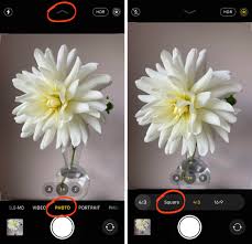 How To Use The Iphone Camera App To Take Incredible Photos Go to settings and toggle the grid option rule of thirds is the main composition rule of photography that allows the viewer's eye to flow easily over a photo. iphone camera app to take incredible photos
