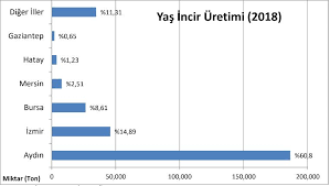 Incir Raporu 2019