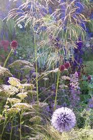 Deschampsia With Assorted Perennials I Am In Love With This Combo It Looks Like Fireworks Perennials Plants Ornamental Grasses