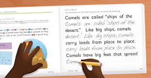 Does Spelling You See Help Students With Dyslexia