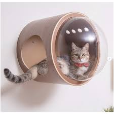Spaceship Gamma Ultra Modern Cat Bed Or Wall Mounted Bed 236 0000000001 Catsplay Superstore Its transparent acrylic lookout provides a comfortable, smooth, rounded sleep this versatile pet bed can be wall mounted a single unit, or, can be combined from other complementary pieces to construct a wall climbing system.