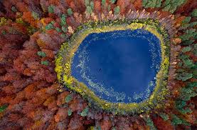 How Our World Would Look If You Were A Bird Bored Panda Algae and debris should be removed regularly to keep this bird oasis looking good and open for business. how our world would look if you were a bird bored panda
