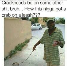 Crackhead S Be Crazy Funny Memes Hood Memes Funny