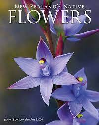 Maybe you would like to learn more about one of these? New Zealand S Native Flowers Compact Calendar 2021