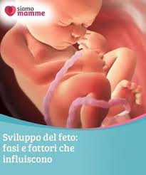 La tiroide inizia a funzionare. Pin Su Bebe