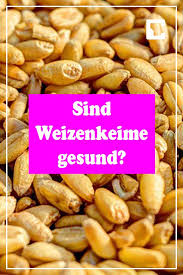 Weizenkeime Sind Sie Gesund Weizenkeime Weizen Essen Und Trinken Rezepte