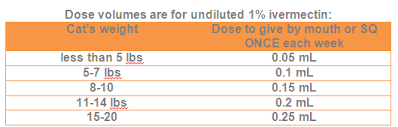 What To Do About Otodectes