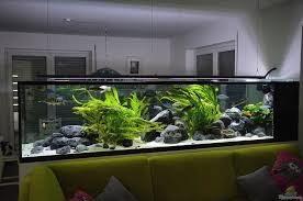 New The 10 Best Home Decor With Pictures Power Of Imagination In Luxury Piece In Wall Piece Rf Aquar Aquarium Design Aquarium Decorations Aquarium