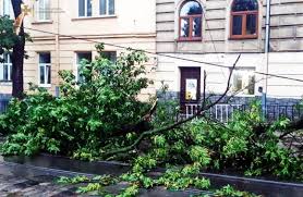 Економіка, влада, політика, бізнес, промисловість, фінанси, банки, нерухомість. Dbwublv5en1cvm