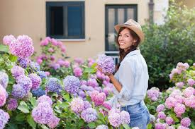 577 reviews of hortencias at the cliffhanger a brief history : Cuidados De Las Hortensias Guia Practica Con Video