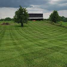 Get free shipping on qualified lawn disease control or buy online pick up in store today in the outdoors department. Alan S Lawn Care Facebook