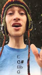 Diminished irresponsibility.