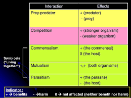 Mutualism Parasitism And Commensalism