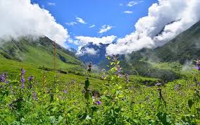 Valley of flower is located near badrinath in chamoli district, garhwal region of uttarakhand state in india. Valley Of Flowers From Haridwar Valley Of Flowers Tour From Dehradun