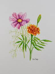 Cosmos And Marigold October Birthday Flower Original Watercolor Painting Birth Month Flower Birth Month Flowers Birth Flower Tattoos October Birth Flowers