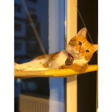 Sunny Seat Cama Yapisan Kedi Yatagi Yorumlari